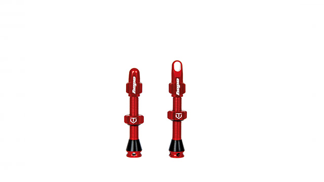 Hope Tubeless Valves