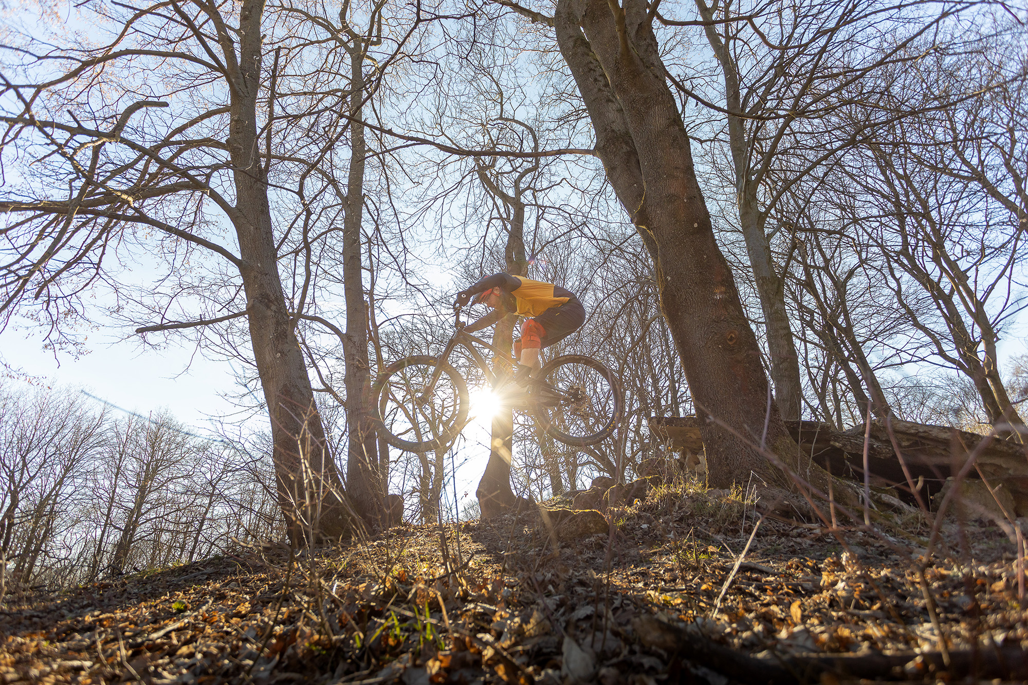 From MTB guiding to trail building