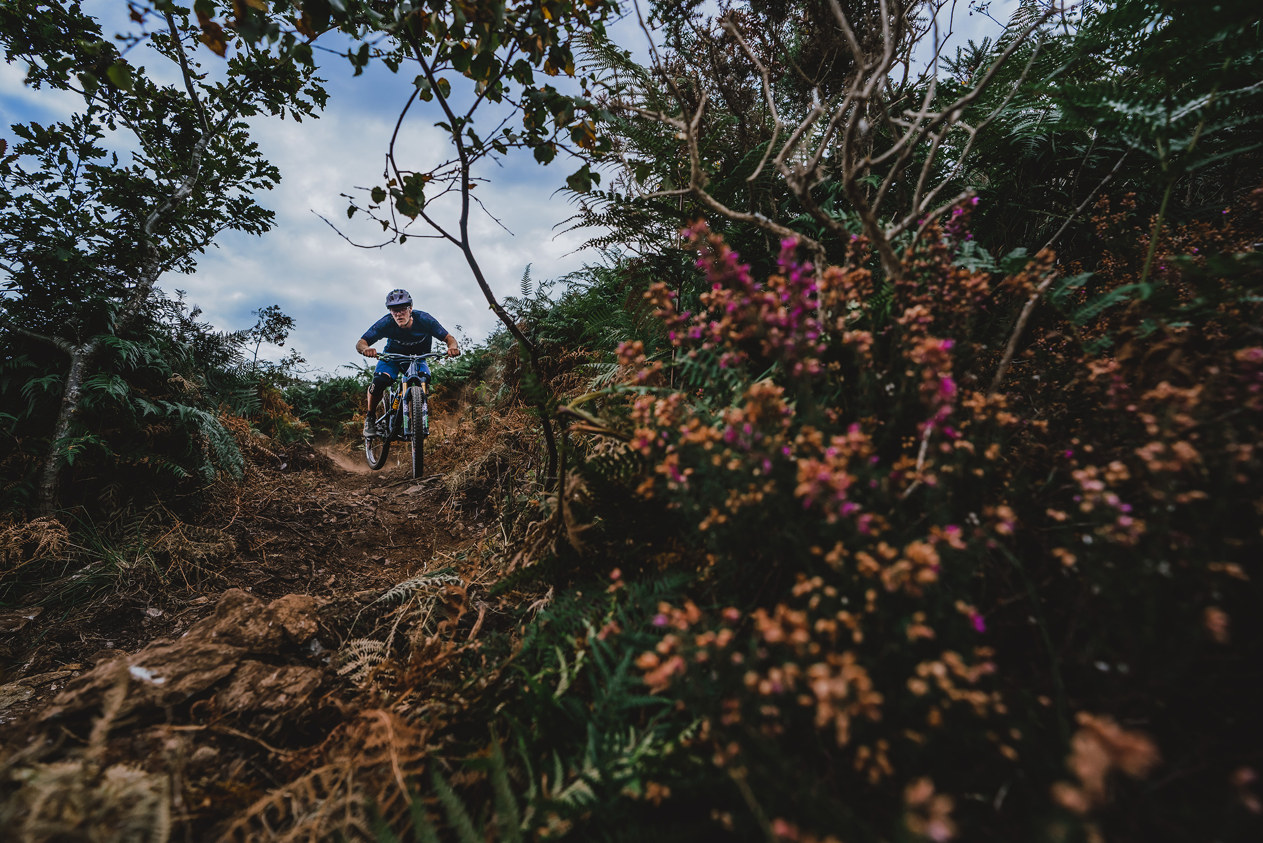 Harry Widdowson: The Ideal Summer Weekend