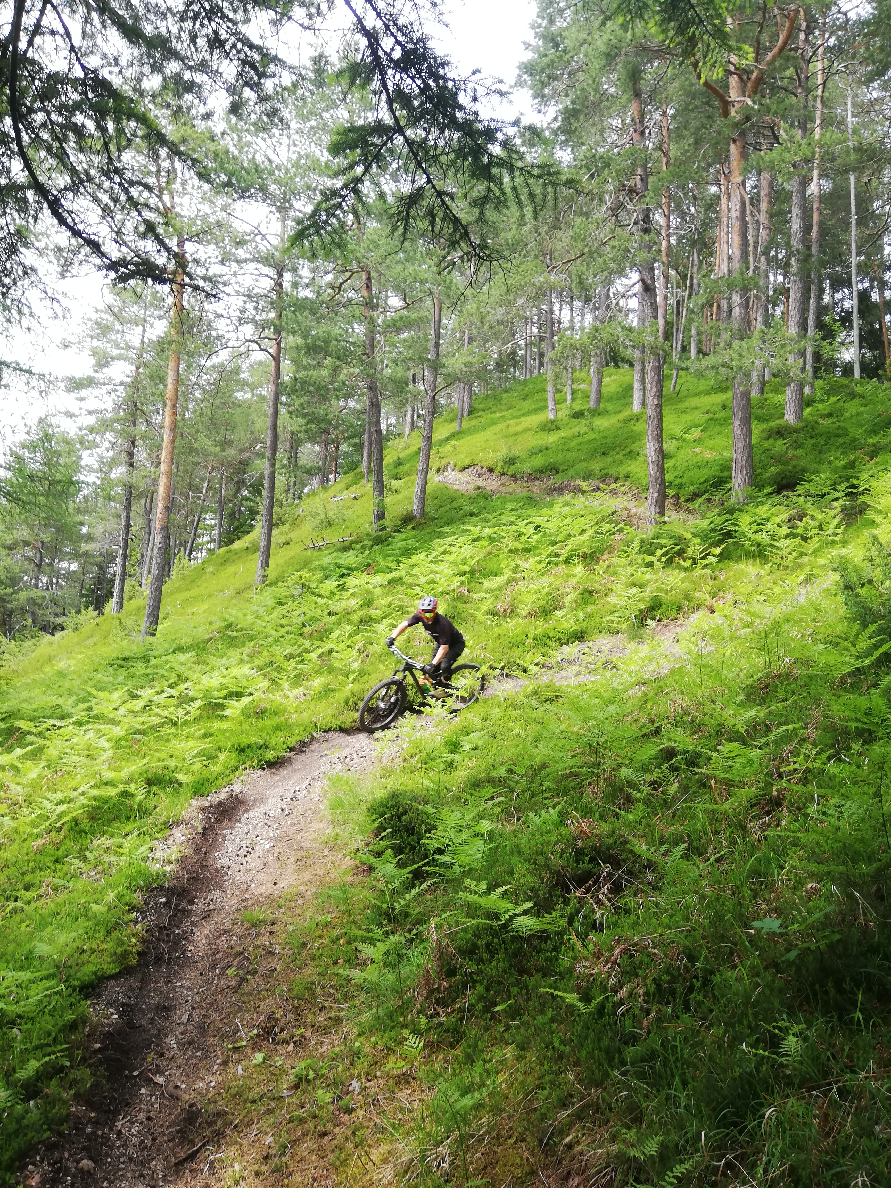 Lukas Nehrer: Riding in Slovenia