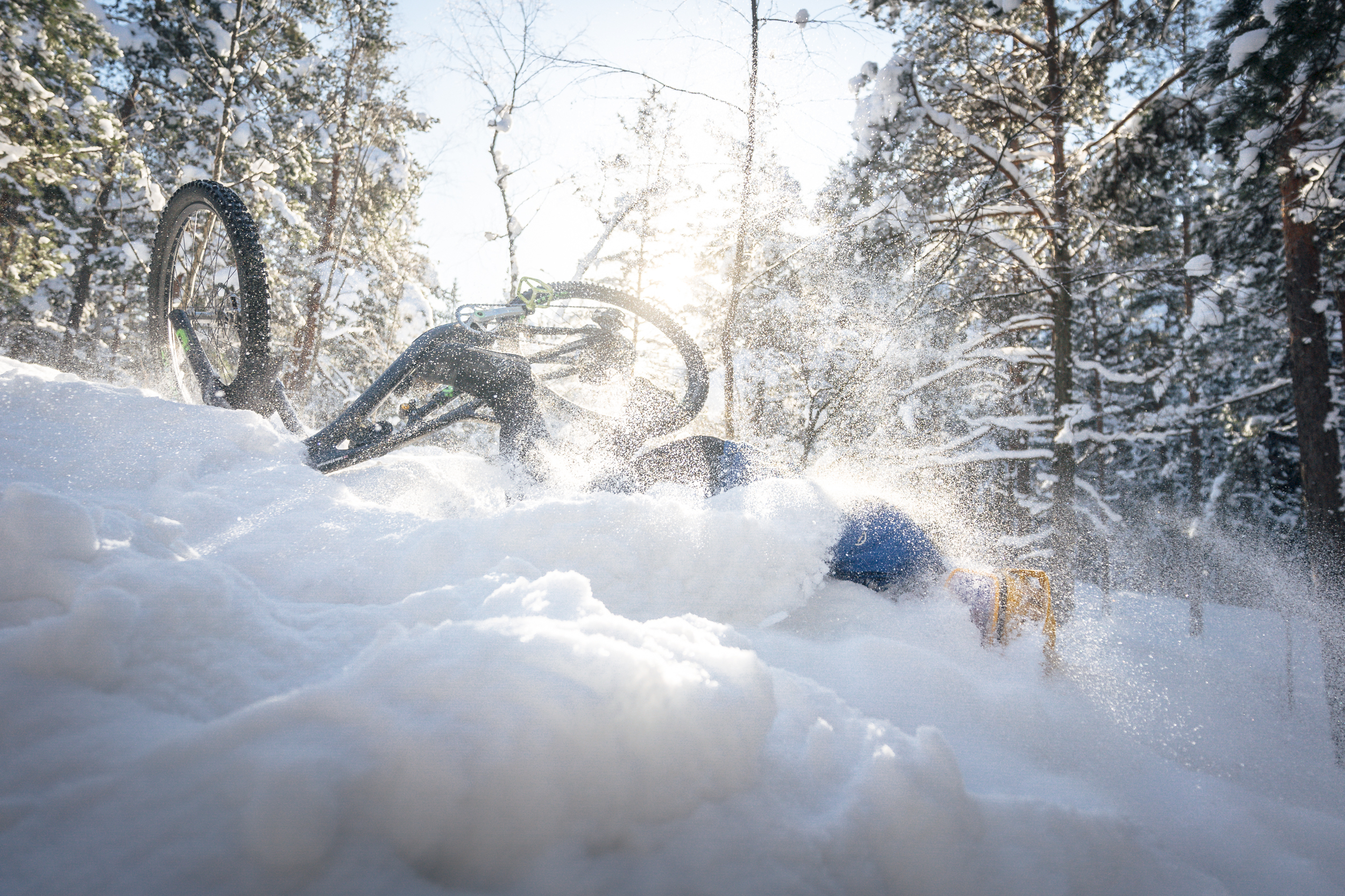 Shredding in a Winter Wonderland